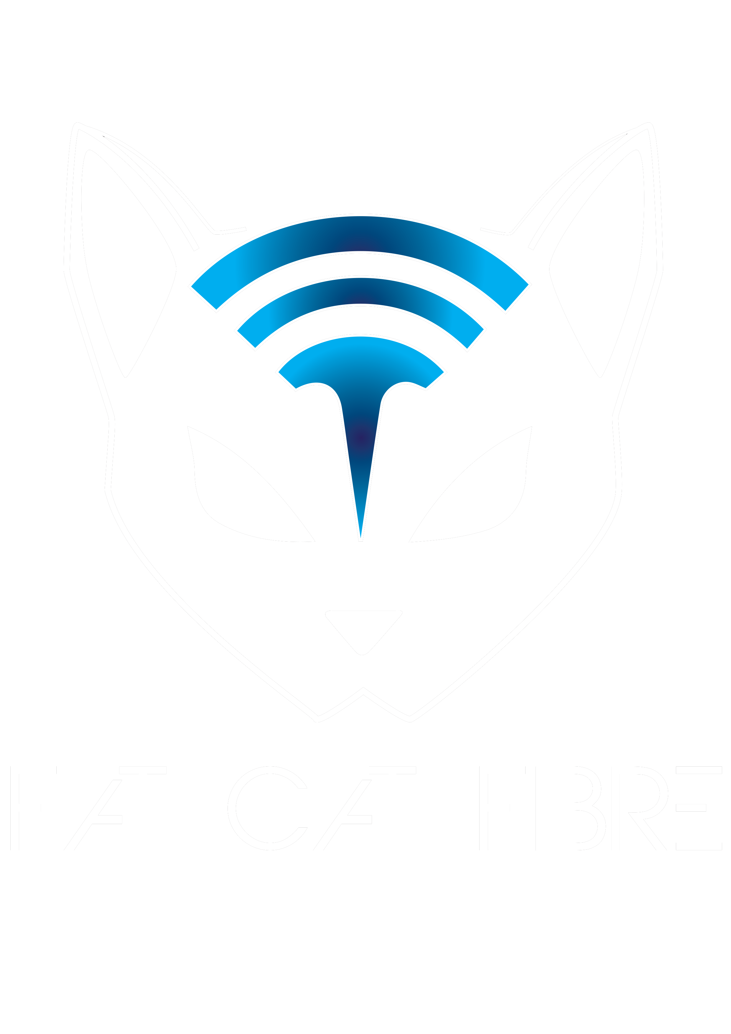 Fat Cat Fibre